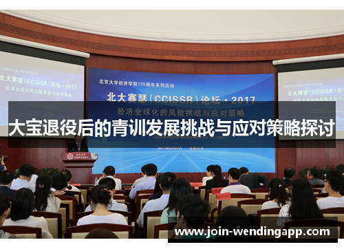大宝退役后的青训发展挑战与应对策略探讨