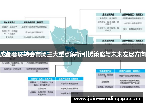 成都蓉城转会市场三大重点解析引援策略与未来发展方向
