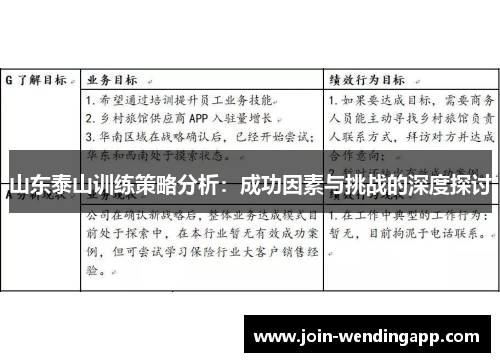 山东泰山训练策略分析：成功因素与挑战的深度探讨