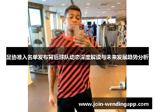 足协准入名单发布背后球队动态深度解读与未来发展趋势分析