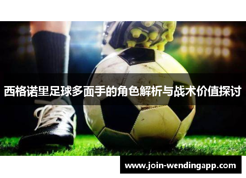 西格诺里足球多面手的角色解析与战术价值探讨