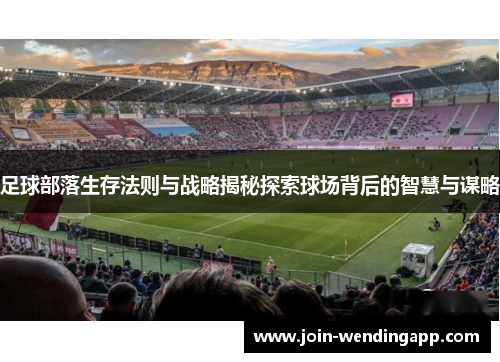 足球部落生存法则与战略揭秘探索球场背后的智慧与谋略